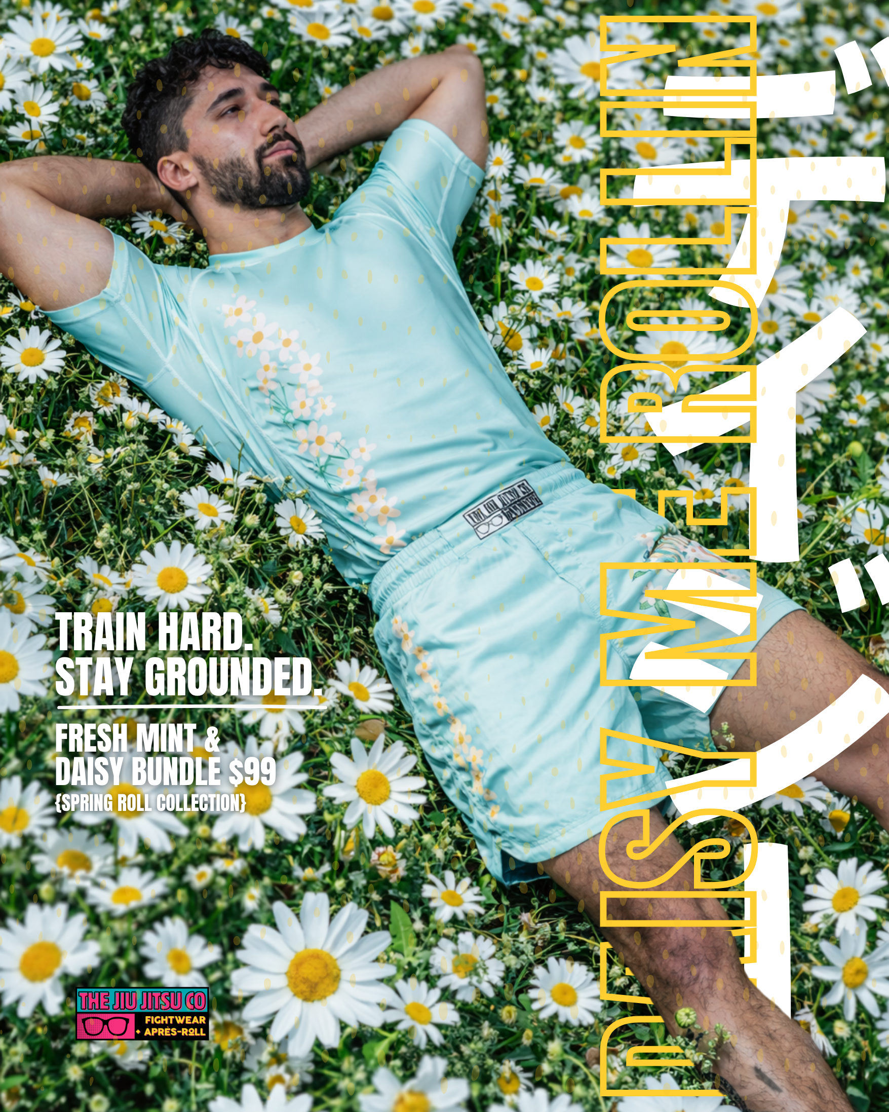 Fresh Mint and Daisy SHORTS bundle