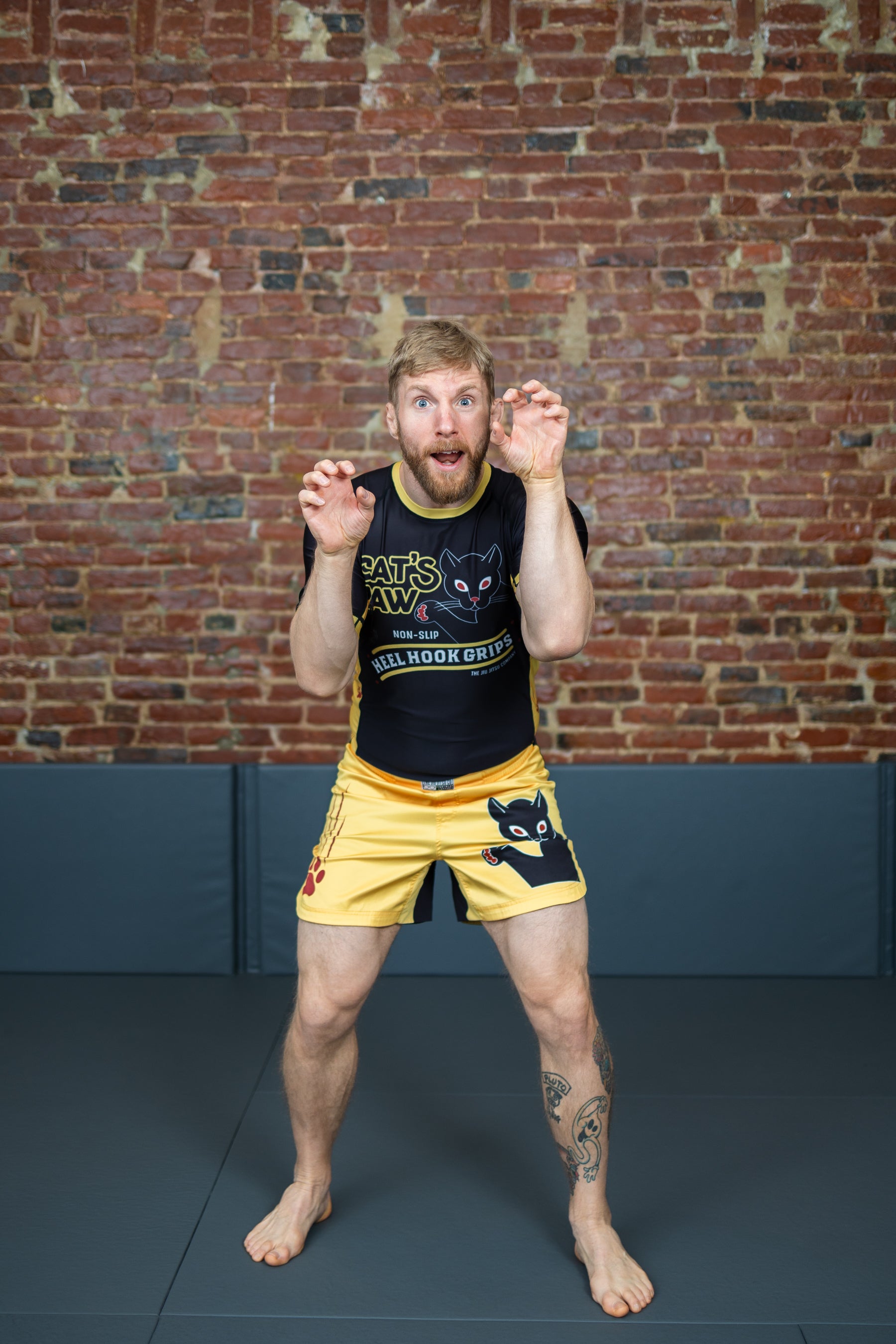 Cat's Paw Shorts